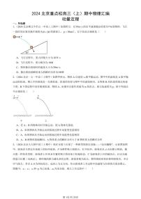 2024北京重点校高三（上）期中真题物理汇编：动量定理