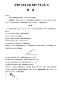 湖南省长沙市湖南师范大学附属中学2024-2025学年高三下学期月考（七）物理试题（含答案）