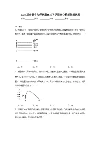 2025届安徽省九师联盟高三下学期核心模拟物理试卷(无答案)
