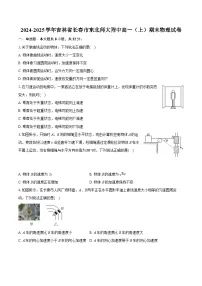 吉林省长春市东北师范大学附属中学2024-2025学年高一上学期期末考试物理试题