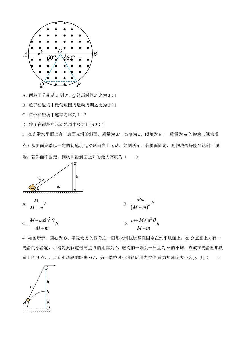 2024届黑龙江省大庆实验中学高三上学期期中考试(11月)-物理试题(含答案)第2页