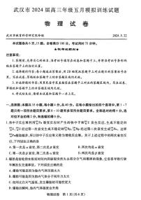 2024届湖北省武汉市高三5月模拟训练-物理试卷（含答案）