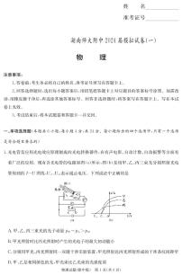 2024届湖南师大附中高三下学期模拟考试（一）物理试卷（含答案）