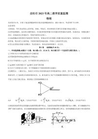 2024届湖南岳阳高二下学期期末考 物理试题（含答案）