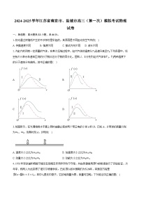 2024-2025学年江苏省南京市、盐城市高三（第一次）模拟考试物理试卷(含详细答案解析)