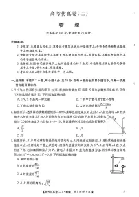 2025年高考仿真卷二物理试题及答案
