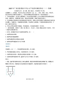 广东省2025届高三下学期一模物理试题  含解析