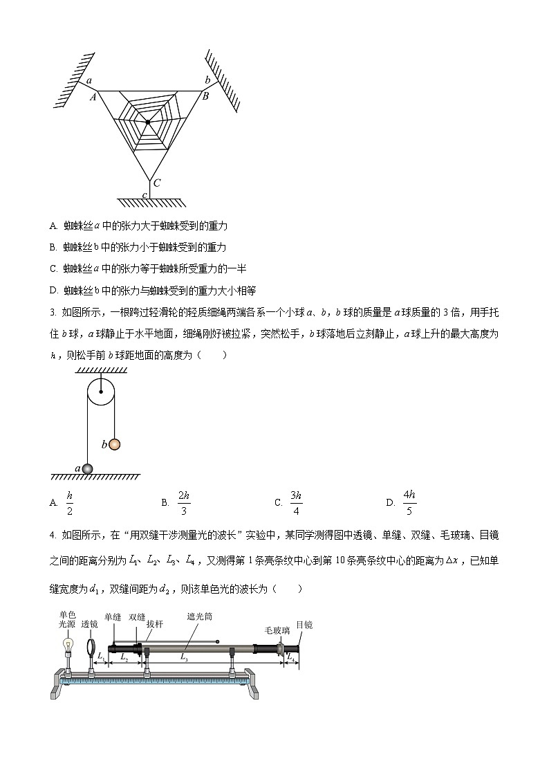 广西桂林市2024-2025学年高三下学期开学质量检测试题 物理 含答案第2页