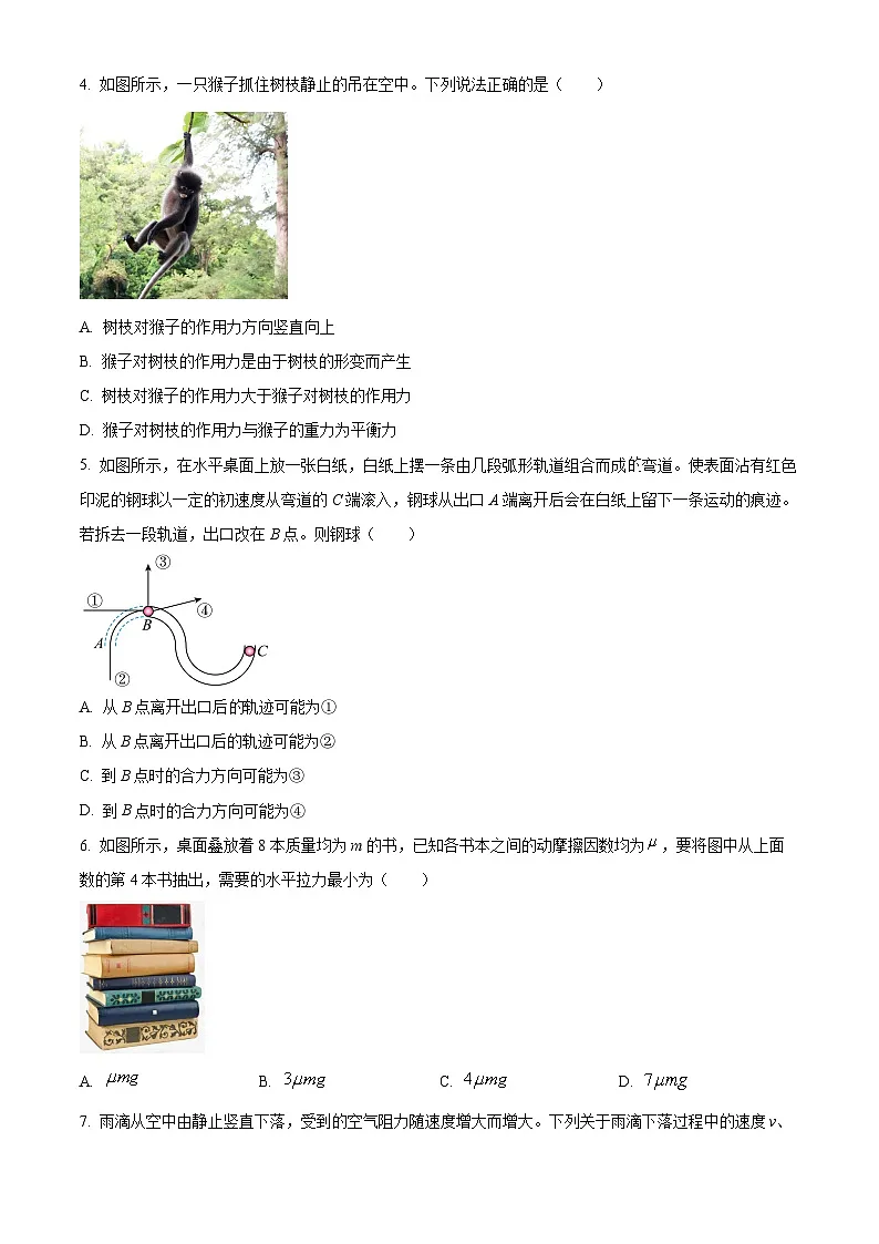 江苏省徐州市2024-2025学年高一上学期1月期末考试物理试题 Word版无答案第2页