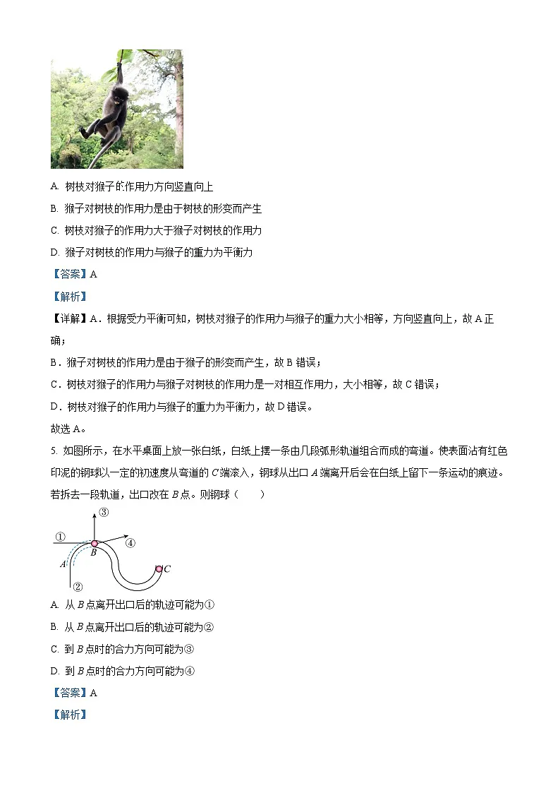 江苏省徐州市2024-2025学年高一上学期1月期末考试物理试题 Word版含解析第3页