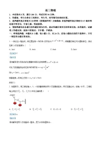 山东省威海市2024-2025学年高三上学期期末考试物理试卷（Word版附解析）