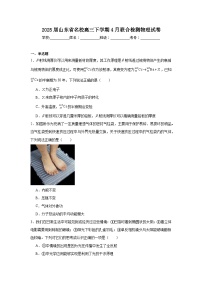 2025届山东省名校高三下学期4月联合检测物理试卷（附答案解析）