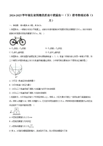 湖北省荆楚优质高中联盟2024-2025学年高一下学期3月联考物理试卷【含答案】