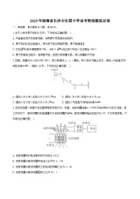 2025年湖南省长沙市长郡中学高考物理模拟试卷（含详细答案解析）