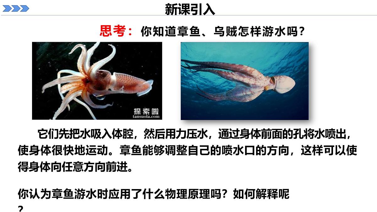 人教版高中物理选择性必修一 1-6《反冲现象 火箭》 课件第1页