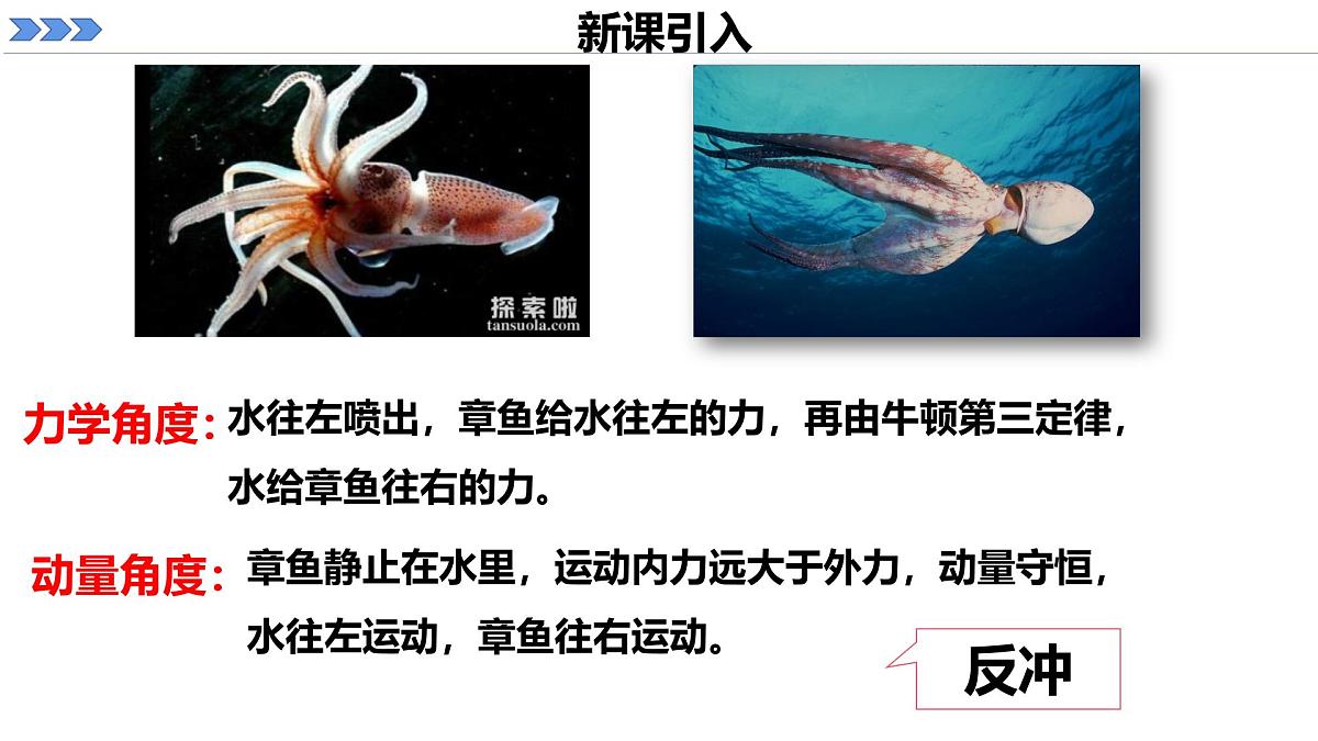 人教版高中物理选择性必修一 1-6《反冲现象 火箭》 课件第2页