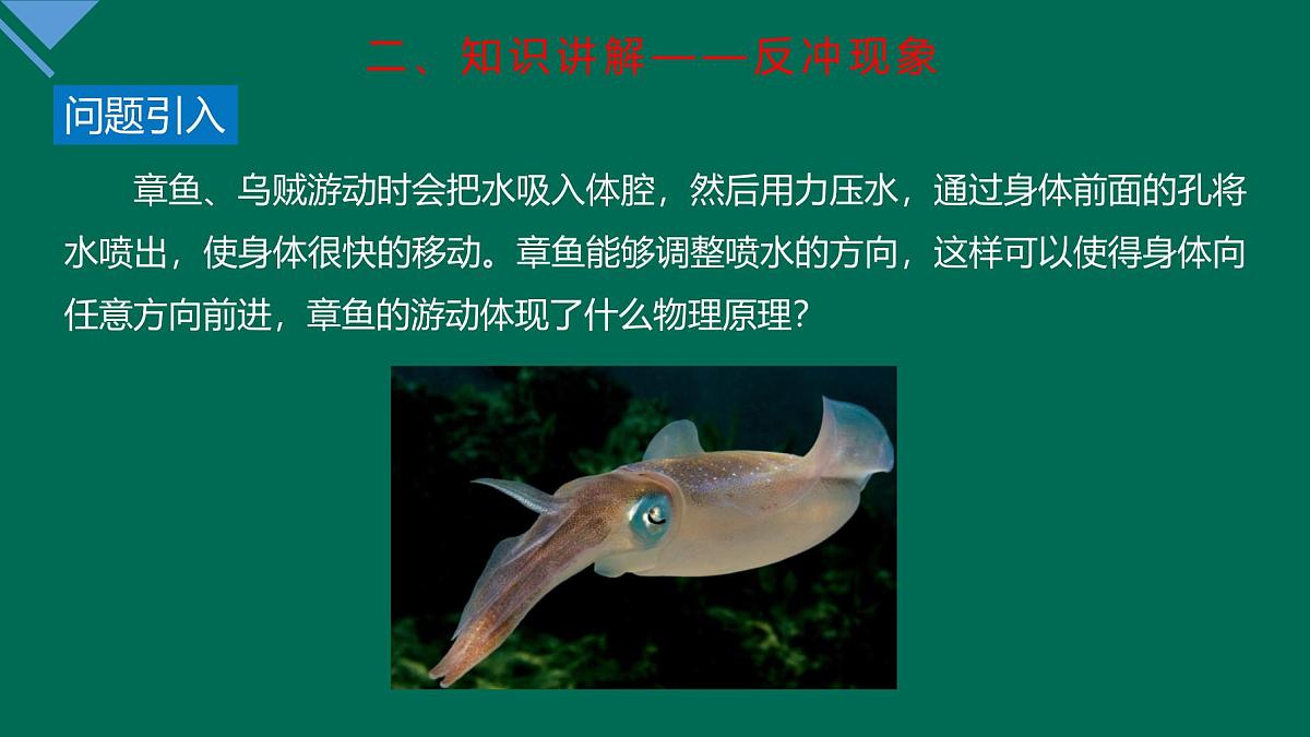人教版高中物理选择性必修一 1-6《反冲现象 火箭》课件第5页