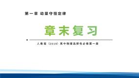 高中人教版 (2019)动量复习ppt课件