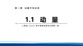 人教版 (2019)选择性必修 第一册动量教课内容课件ppt