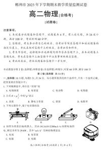 湖南省郴州市2023-2024学年高二上学期1月期末 物理试卷（含答案）