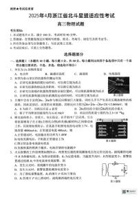 浙江省北斗星盟2025届高三下学期适应性考试（高考三模）物理试题（含答案）