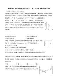 2024-2025学年贵州省贵阳市高三（下）适应性物理试卷（一）(含详细答案解析)