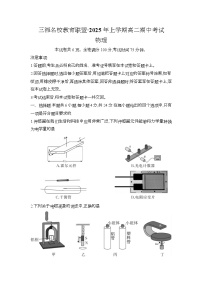 湖南省三湘名校教育联盟2024-2025学年高二上学期期中大联考物理试卷（Word版附解析）