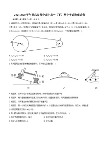 湖北省部分高中2024-2025学年高一下学期期中考试物理试卷