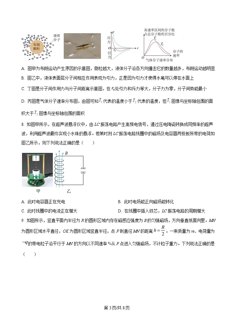 湖南省长沙市麓山国际实验学校2024-2025学年高二下学期3月联考物理试题(原卷版)第3页