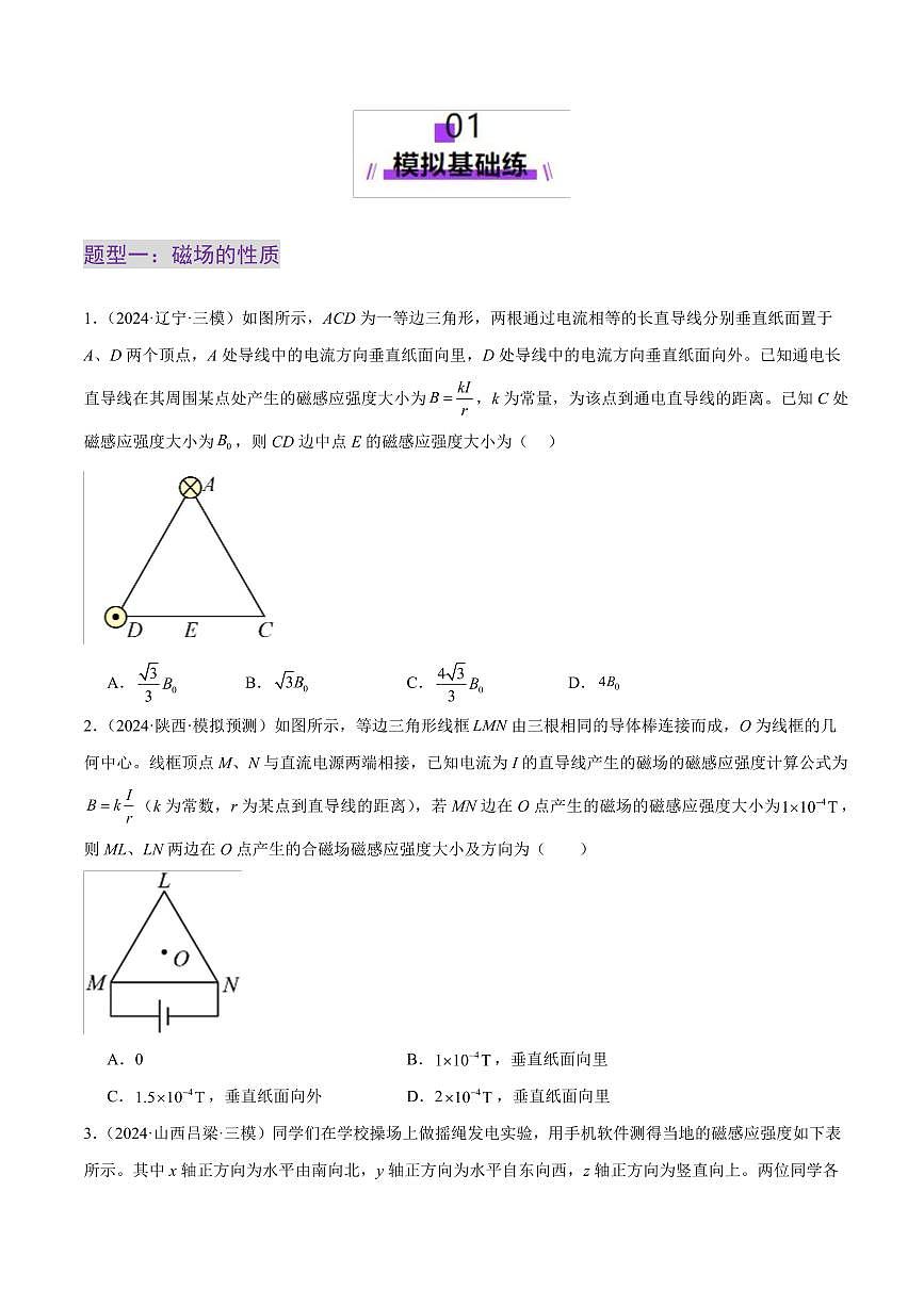 2025年高考物理二轮复习讲练测(新高考通用)专题10 磁场 带电粒子在磁场中的运动(练习)(原卷版)第2页