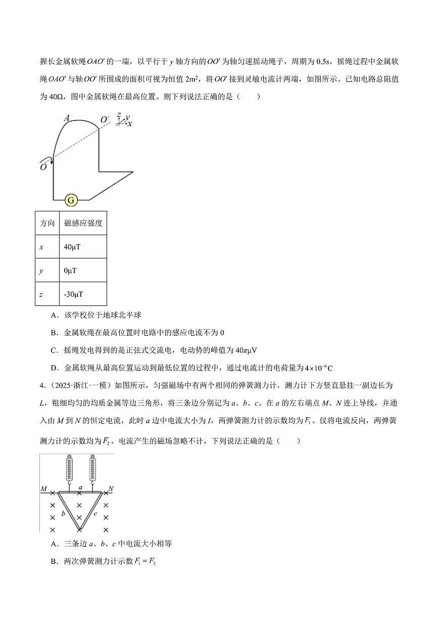 2025年高考物理二轮复习讲练测(新高考通用)专题10 磁场 带电粒子在磁场中的运动(练习)(原卷版)第3页