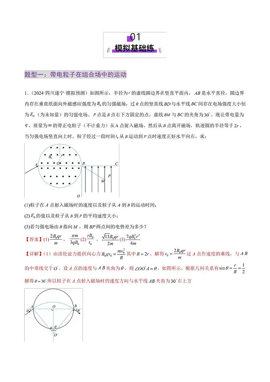 2025年高考物理二轮复习讲练测(新高考通用)专题11 带电粒子在复合场中的运动(练习)(解析版)第2页