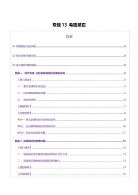 2025年高考物理二輪復(fù)習(xí)講練測(cè)（新高考通用）專題13 電磁感應(yīng)（講義）（解析版）