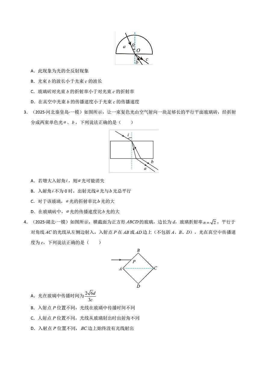 2025年高考物理一模試題分類匯編（新高考通用）專題12 光學（新高考通用）（原卷版）第2頁