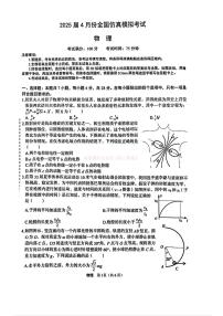 2025年全国高中仿真高考模拟物理试题及答案