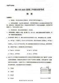海南省海口市2025届高三下学期仿真考试物理含答案解析