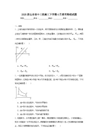 2025届山东省十三校高三下学期4月联考物理试题（无答案）