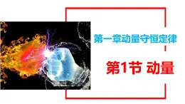 1.1《動量》課件 人教版高中物理選擇性必修一