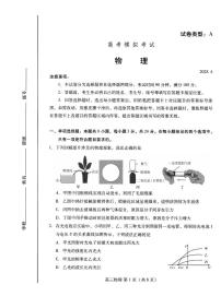 山东省潍坊市2025届高三高考模拟考试物理试题（含答案）