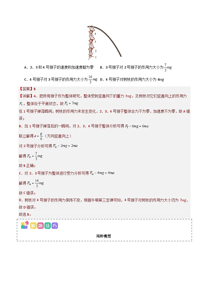 备战2025年高考物理(新高考专用)抢分秘籍03牛顿运动定律的综合应用(四大题型)(教师版)第2页