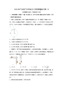 广东省广州市2025届高三下学期练习卷10物理试卷（解析版）