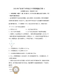 2025届广东省广州市高三下学期练习卷6物理试卷（解析版）