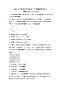 2025届广东省广州市高三下学期练习卷4物理试卷（解析版）