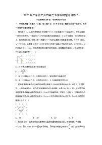 2025届广东省广州市高三下学期练习卷5物理试卷（解析版）