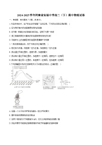 2024-2025学年河南省实验中学高二（下）期中物理试卷（含答案）