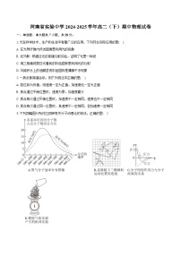 河南省实验中学2024-2025学年高二（下）期中物理试卷（含解析）