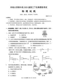 2025届重庆市西南大学附属中学高三下学期高考全镇模拟物理试题(含答案)