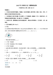 上海市松江区2025届高三下学期二模试题 物理 含解析
