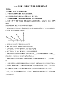 上海市长宁区2025届高三下学期二模试题 物理 含解析