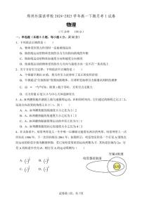 河南省郑州外国语学校2024-2025学年高一下学期第一次月考物理试卷（PDF版附答案）